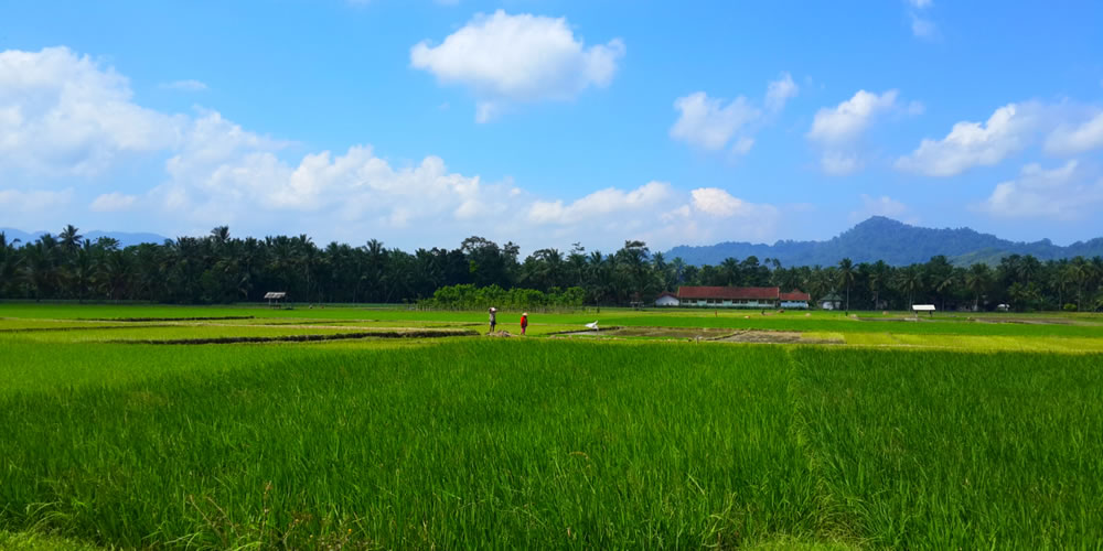 Indonesia Bali Java motorcycle tour 